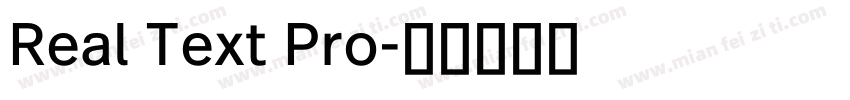 Real Text Pro字体转换